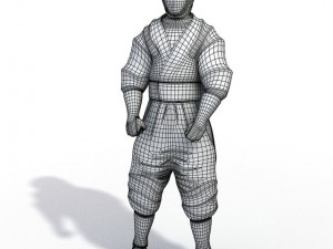ninja 3D Model