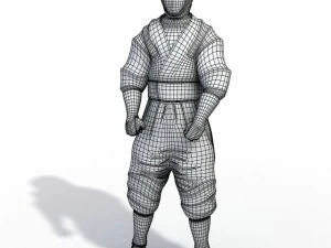 ninja 3D Model