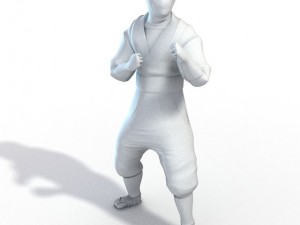 ninja 3D Model
