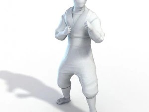 ninja 3D Model