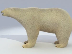 animasi beruang kutub Model 3D