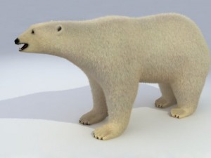 polar bear animated 3Dモデル