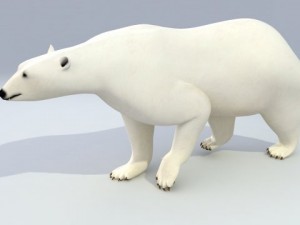 polar bear animated 3Dモデル
