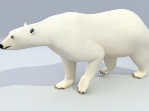 polar bear animated 3D Model