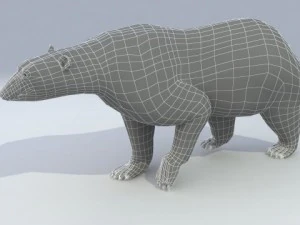 polar bear animated 3D Model