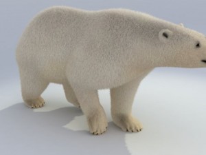 polar bear animated 3Dモデル