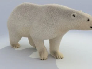 polar bear animated 3D Model
