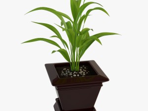 palm houseplant Modelo 3D