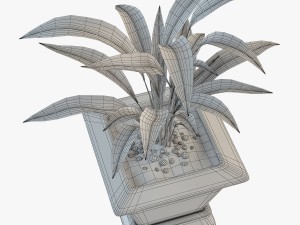 palm houseplant Modelo 3D