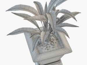 palm houseplant 3D Model