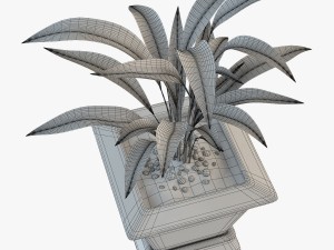 palm houseplant Modelo 3D