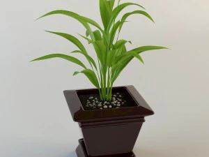 palm houseplant 3D Model