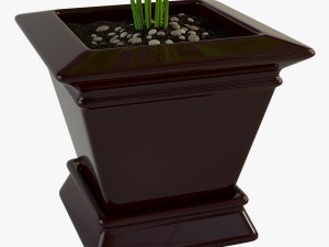 palm houseplant Modelo 3D