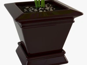 palm houseplant 3D Model