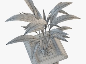 palm houseplant Modelo 3D