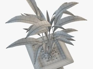 palm houseplant 3D Model