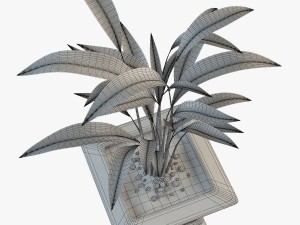 palm houseplant Modelo 3D