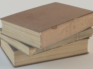 old books 3D Model