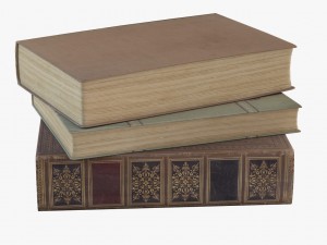 old books 3D Model