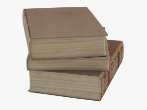 old books 3D Model