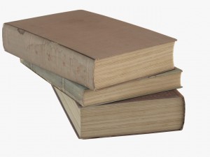 old books 3D Model