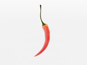 chilli pepper bunch 3D Model