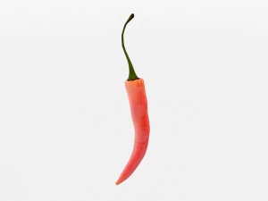 chilli pepper bunch 3D Model