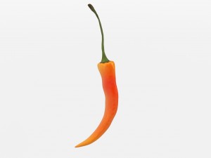 chilli pepper bunch 3D Model
