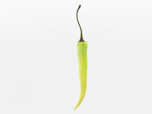 chilli pepper bunch 3D Model