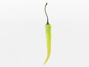 chilli pepper bunch 3D Model