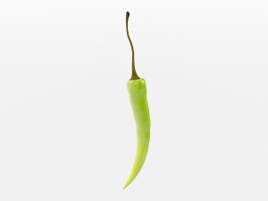 chilli pepper bunch 3D Model