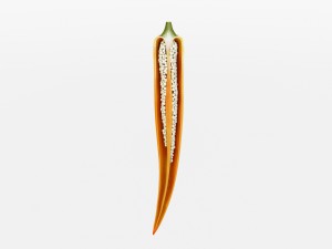 chilli pepper bunch 3D Model