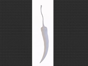 chilli pepper bunch 3D Model