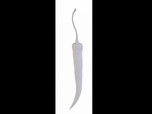 chilli pepper bunch 3D Model