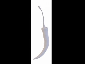 chilli pepper bunch 3D Model