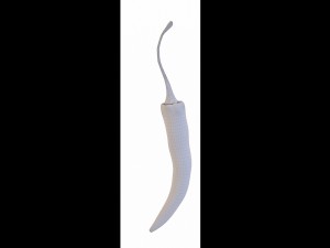 chilli pepper bunch 3D Model