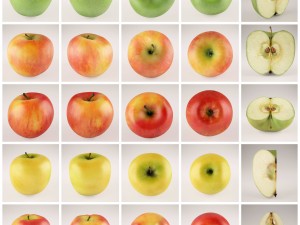 apples set with bowl and dish Modelo 3D