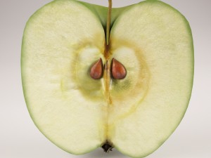 apples set with bowl and dish Modelo 3D