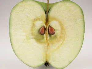 apples set with bowl and dish 3D Model