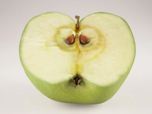 apples set with bowl and dish 3D Model