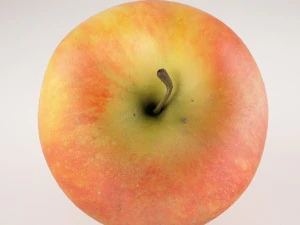 apples set with bowl and dish 3D Model