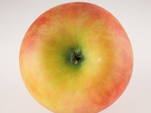apples set with bowl and dish Modelo 3D