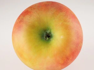 apples set with bowl and dish 3D Model