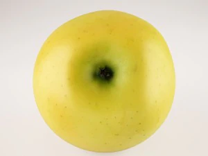 apples set with bowl and dish 3D Model