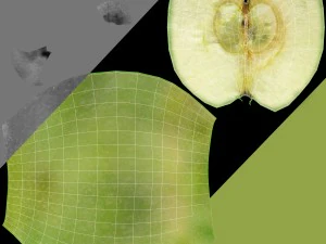 apples set with bowl and dish 3D Model