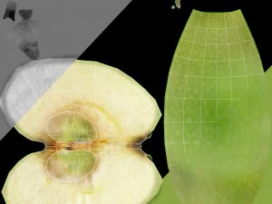 apples set with bowl and dish 3D Model