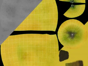 apples set with bowl and dish 3D Model