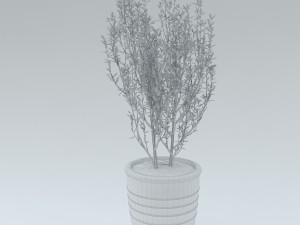 ralph lauren black palms collection 3D Model