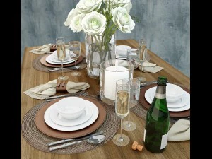 table setting ralph lauren 3D Model