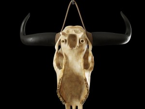 cow skull Modèle 3D